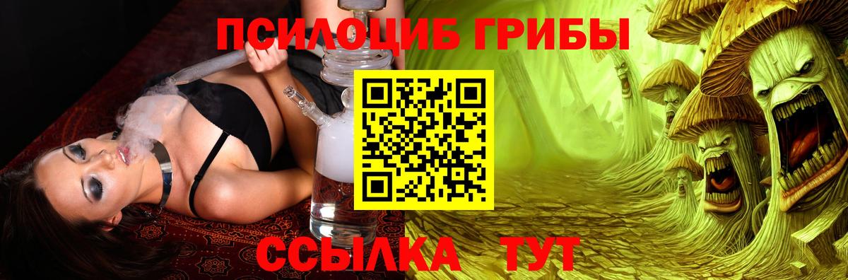 Галлюциногенные грибы Psilocybe Усть-Илимск